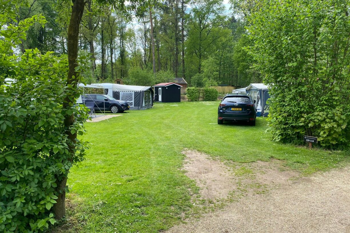 Parkcamping De Graafschap - Bild 3 Parkcamping De Graafschap - Bild 3