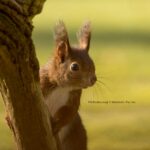 Parkcamping 't Ravenest - Bild 6 Parkcamping 't Ravenest - Bild 6