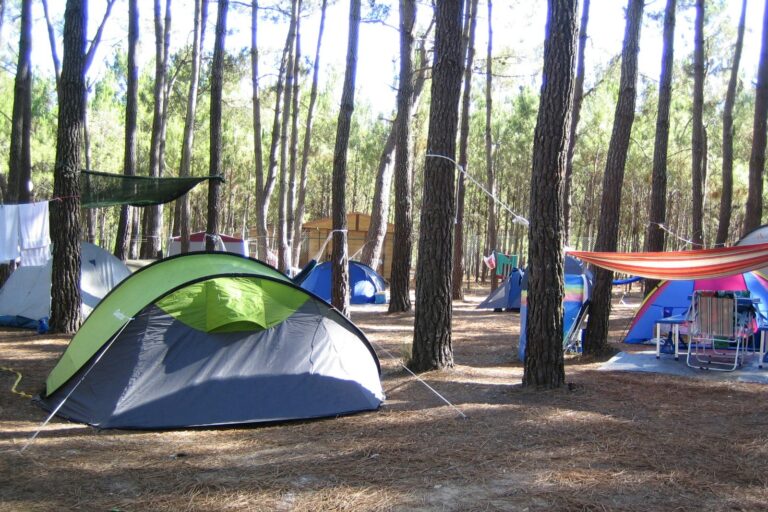 Parque De Campismo São Miguel - Bild 5