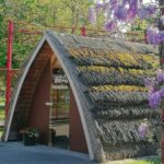 Pielachtal Camping - Bild 11