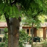 Pineto Beach Camping & Village - Bild 8