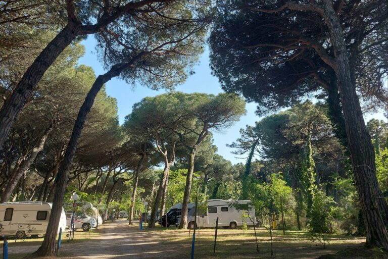 Piomboni Camping Village - Bild 3