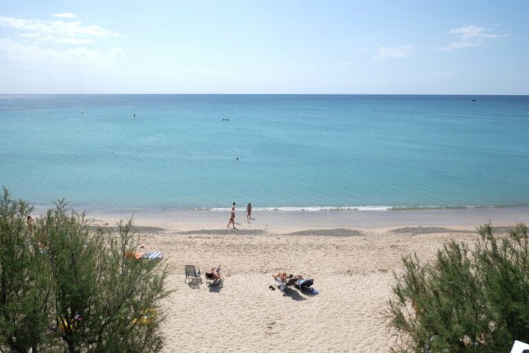 Playa Montroig Camping Resort - Bild 19