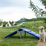 Plitvice Holiday Resort - Bild 20 Plitvice Holiday Resort - Bild 20