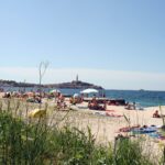 Porton Nature Hideouts - Bild 7 Porton Nature Hideouts - Bild 7