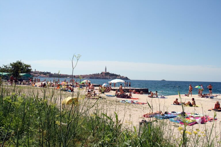 Porton Nature Hideouts - Bild 7 Porton Nature Hideouts - Bild 7