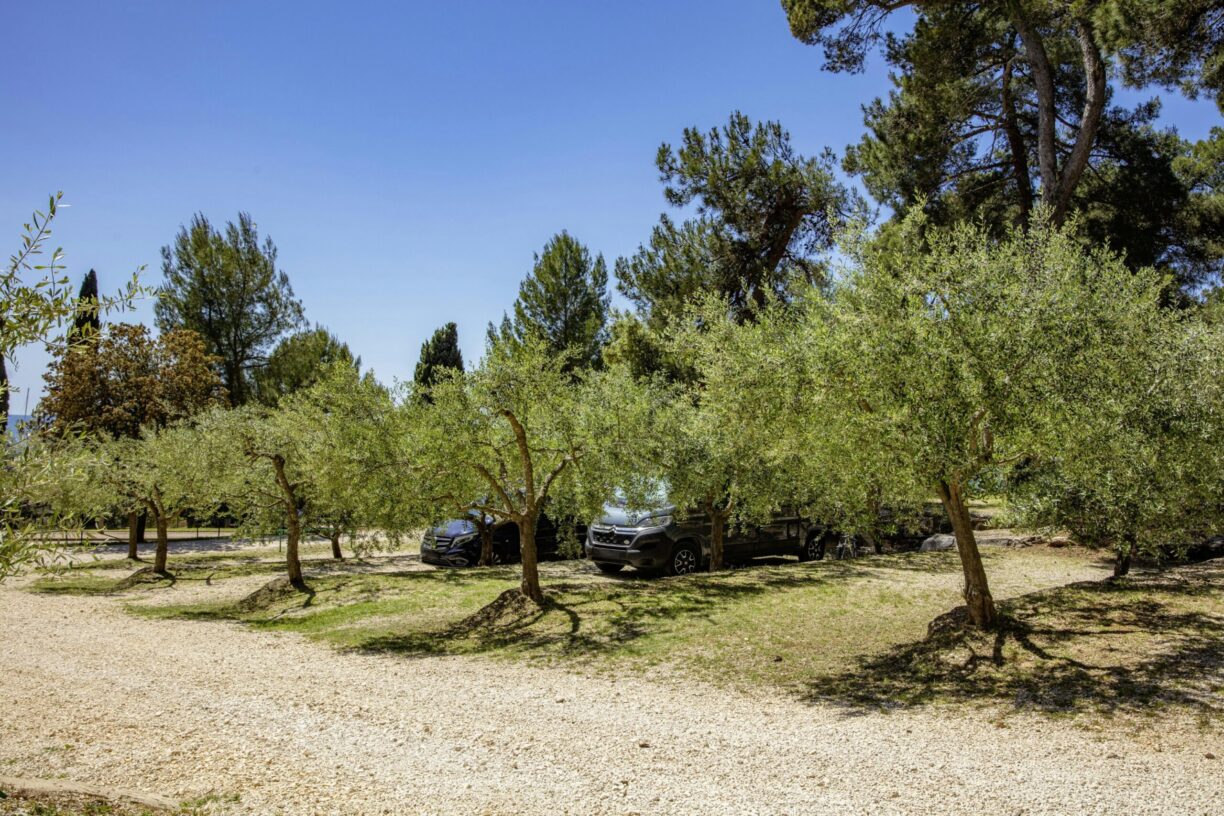 Porton Nature Hideouts - Bild 8 Porton Nature Hideouts - Bild 8