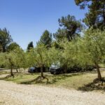 Porton Nature Hideouts - Bild 8 Porton Nature Hideouts - Bild 8