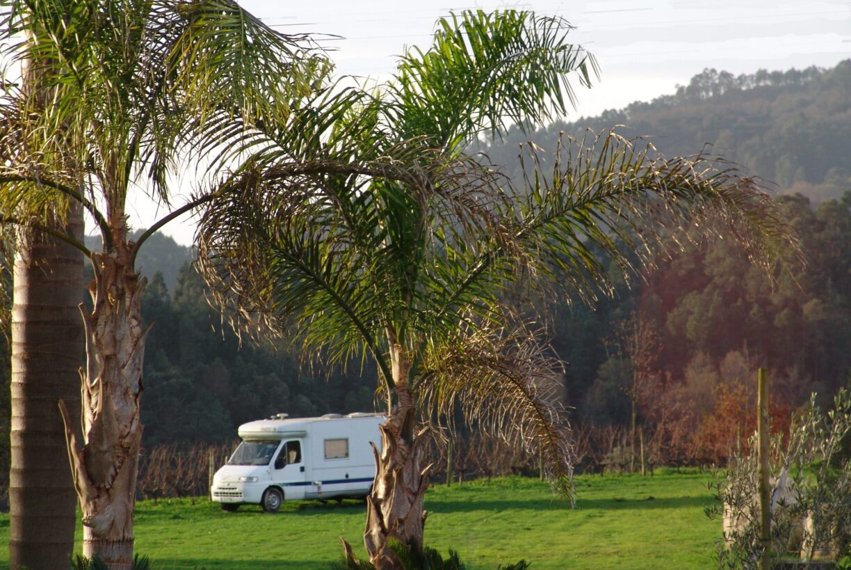 Quinta Santa Marinha - Bild 12 Quinta Santa Marinha - Bild 12