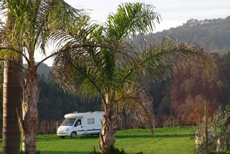 Quinta Santa Marinha - Bild 12 Quinta Santa Marinha - Bild 12