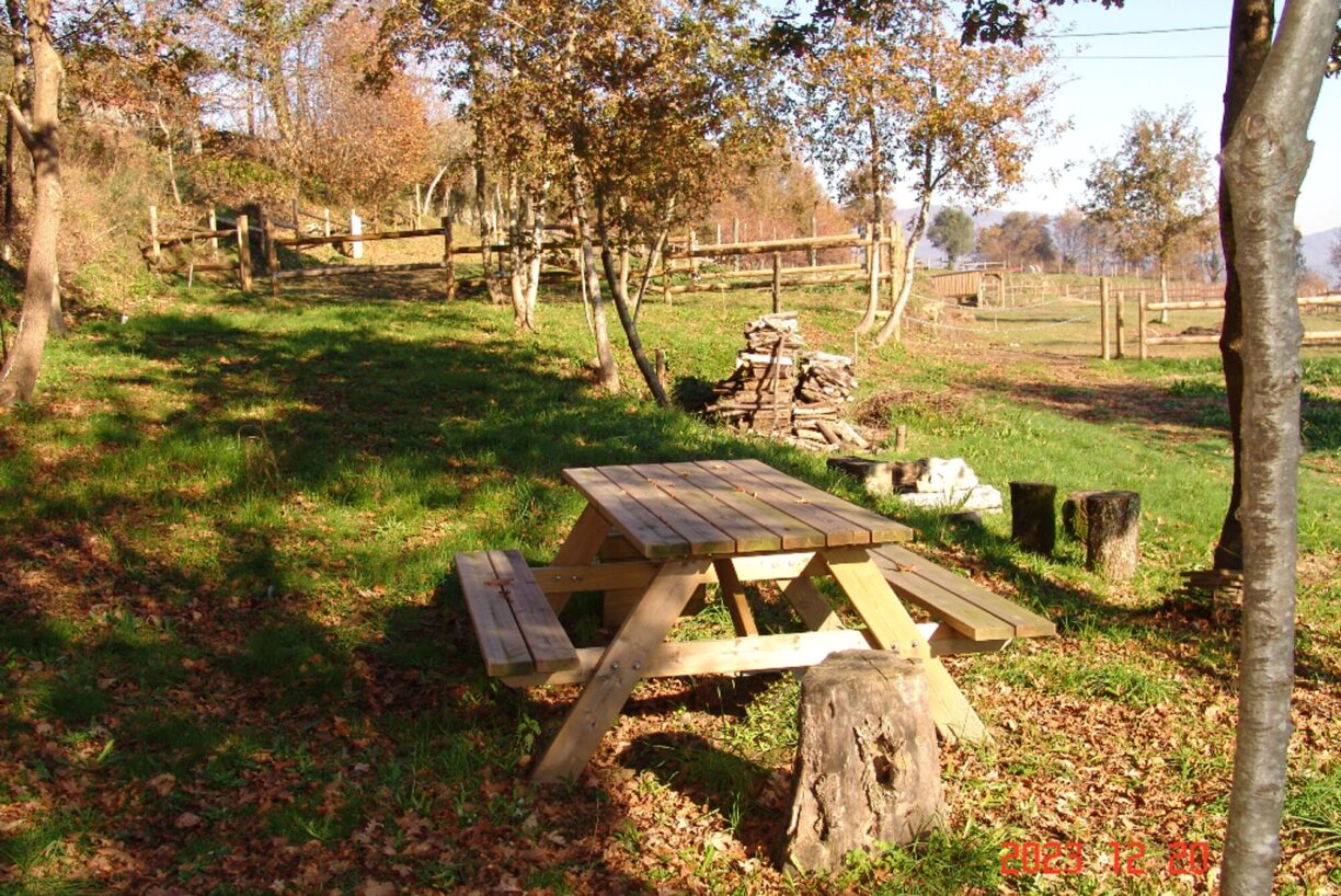 Quinta Santa Marinha - Bild 14 Quinta Santa Marinha - Bild 14