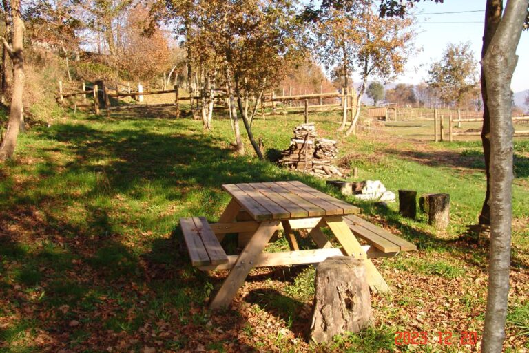 Quinta Santa Marinha - Bild 14 Quinta Santa Marinha - Bild 14