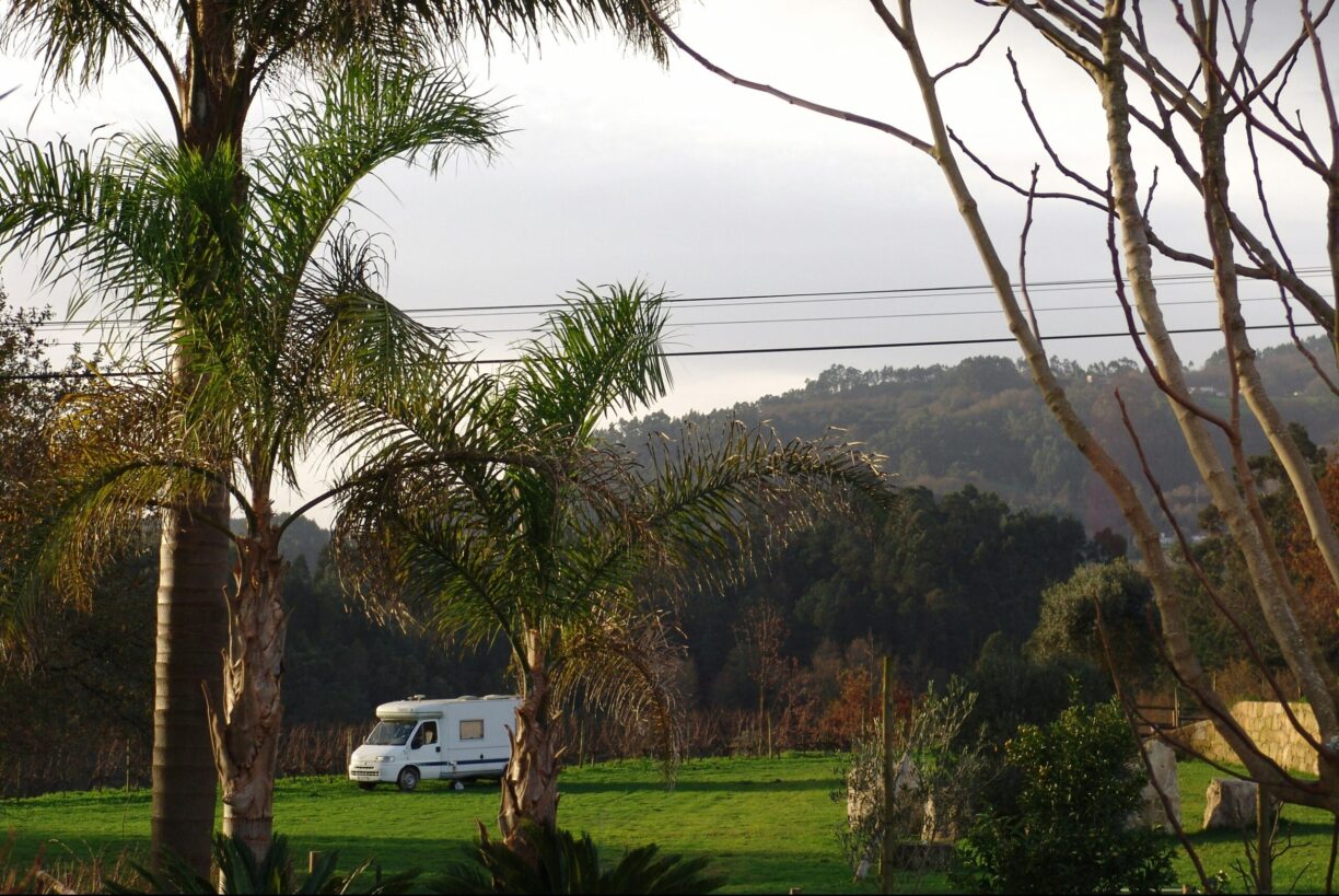 Quinta Santa Marinha - Bild 16 Quinta Santa Marinha - Bild 16