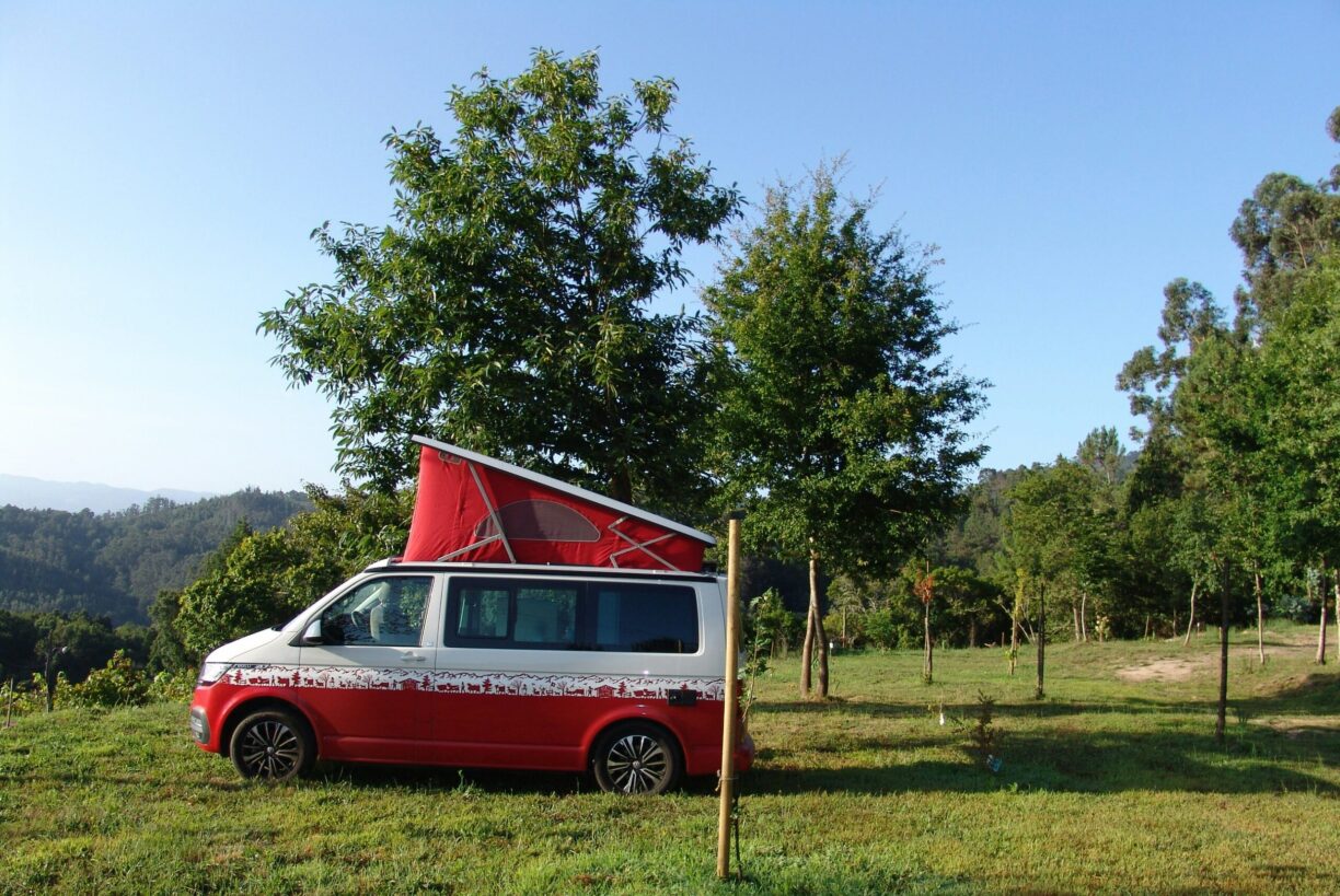 Quinta Santa Marinha - Bild 20 Quinta Santa Marinha - Bild 20