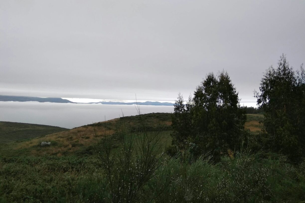 Quinta Santa Marinha - Bild 6 Quinta Santa Marinha - Bild 6