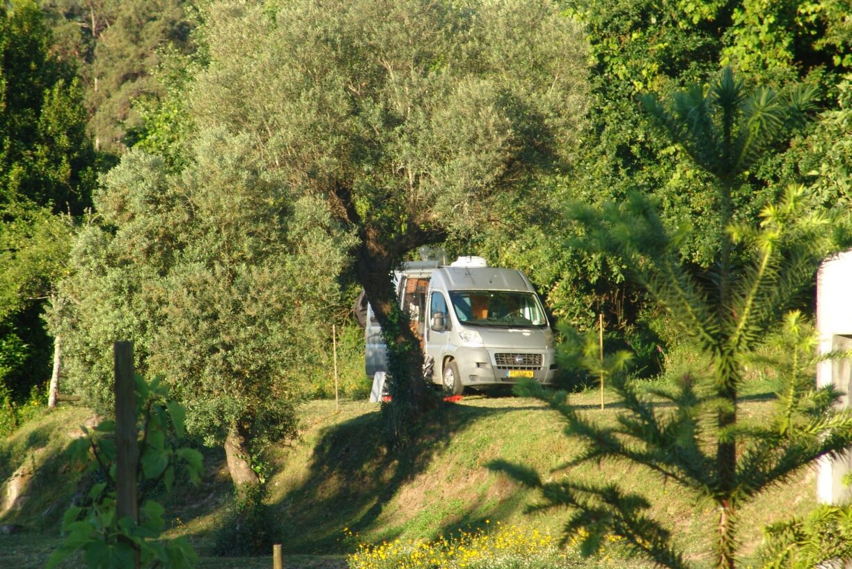 Quinta Santa Marinha - Bild 1 Quinta Santa Marinha - Bild 1