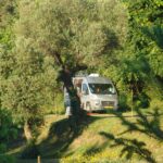 Quinta Santa Marinha - Bild 1 Quinta Santa Marinha - Bild 1