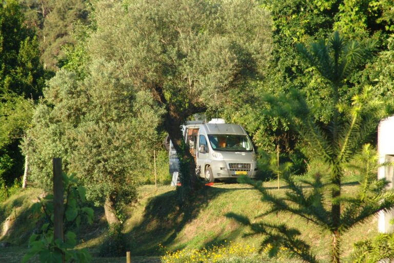 Quinta Santa Marinha - Bild 1