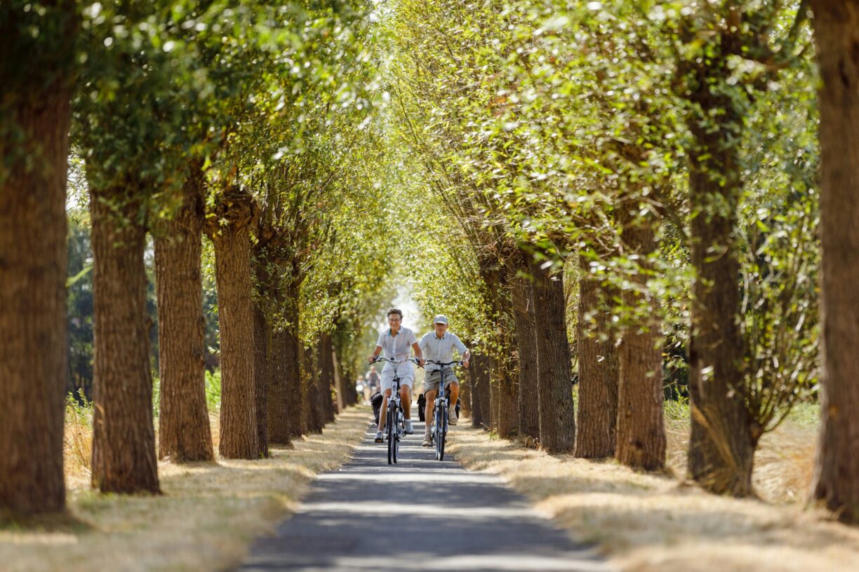 Rcn De Flaasbloem - Bild 14 Rcn De Flaasbloem - Bild 14