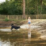 Rcn De Flaasbloem - Bild 4 Rcn De Flaasbloem - Bild 4