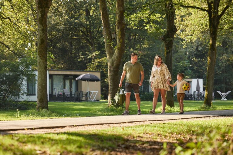 Rcn De Flaasbloem - Bild 5 Rcn De Flaasbloem - Bild 5