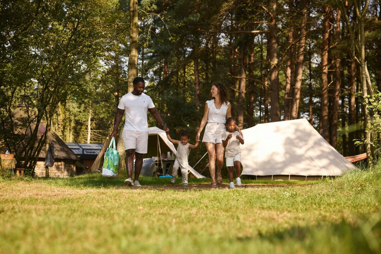 Rcn De Flaasbloem - Bild 9 Rcn De Flaasbloem - Bild 9