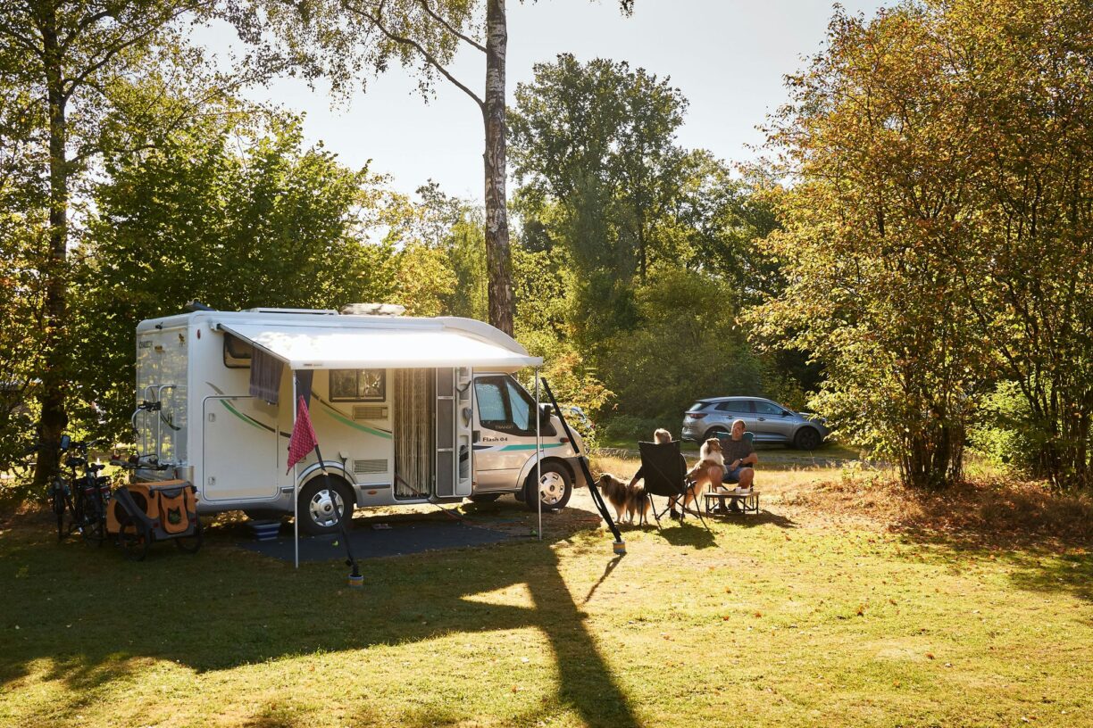 Rcn De Noordster - Bild 10 Rcn De Noordster - Bild 10