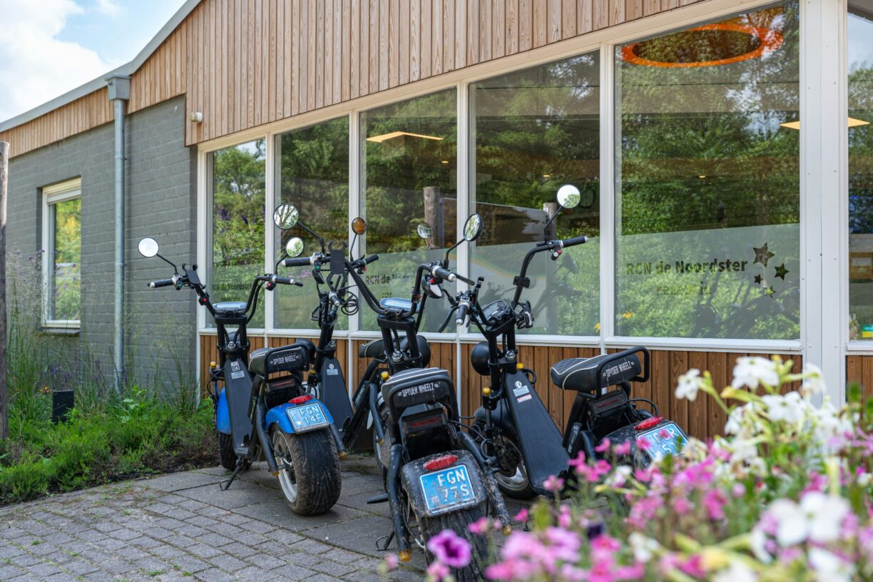 Rcn De Noordster - Bild 11 Rcn De Noordster - Bild 11