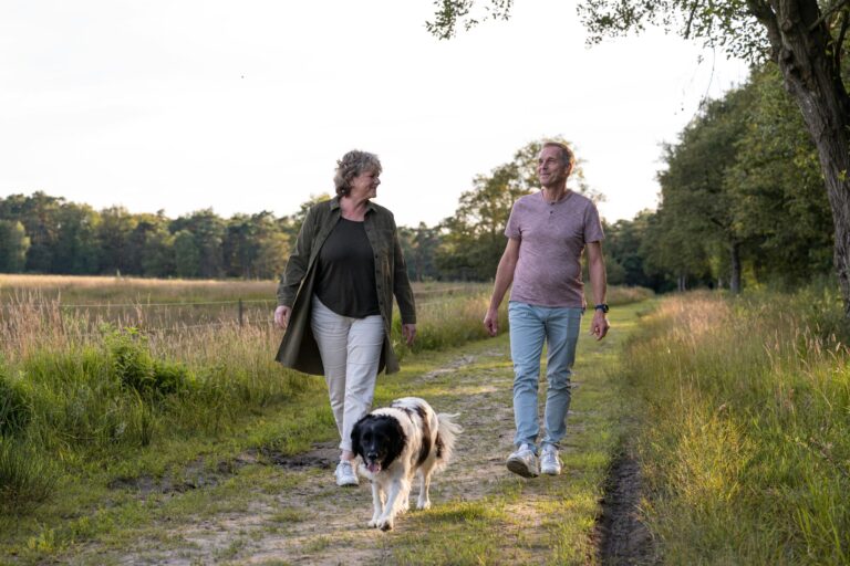 Rcn De Noordster - Bild 14 Rcn De Noordster - Bild 14