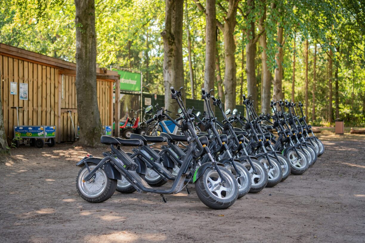 Rcn De Roggeberg - Bild 12 Rcn De Roggeberg - Bild 12