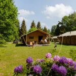 Rcn De Roggeberg - Bild 2 Rcn De Roggeberg - Bild 2