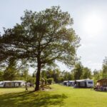 Rcn De Roggeberg - Bild 3 Rcn De Roggeberg - Bild 3