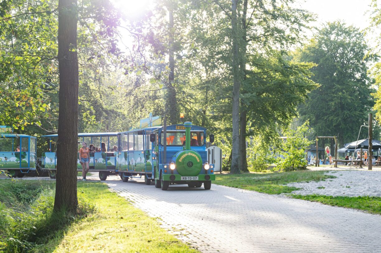 Rcn De Roggeberg - Bild 9 Rcn De Roggeberg - Bild 9