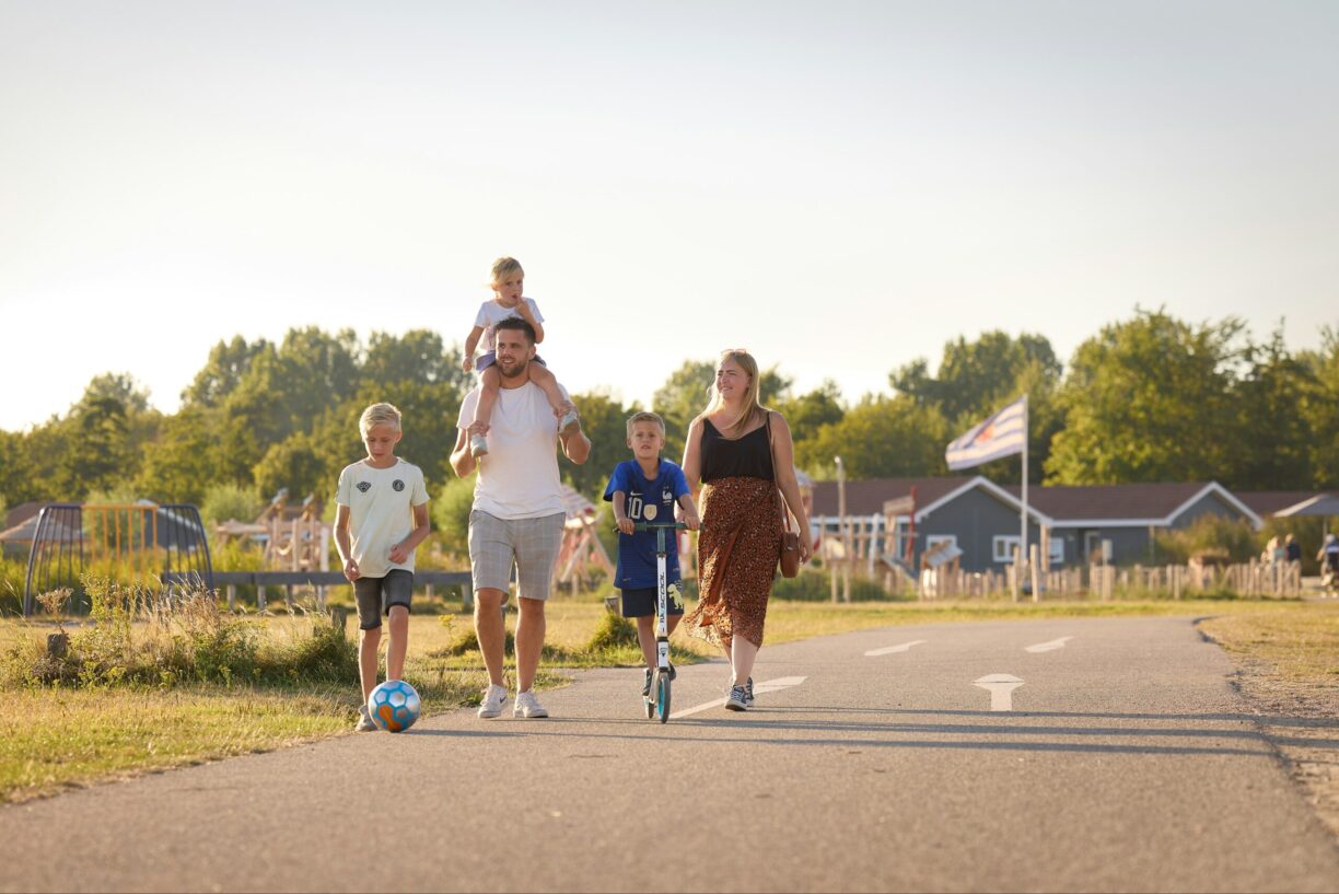 Rcn De Schotsman - Bild 8 Rcn De Schotsman - Bild 8