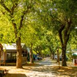 Rcn La Bastide En Ardèche - Bild 12 Rcn La Bastide En Ardèche - Bild 12