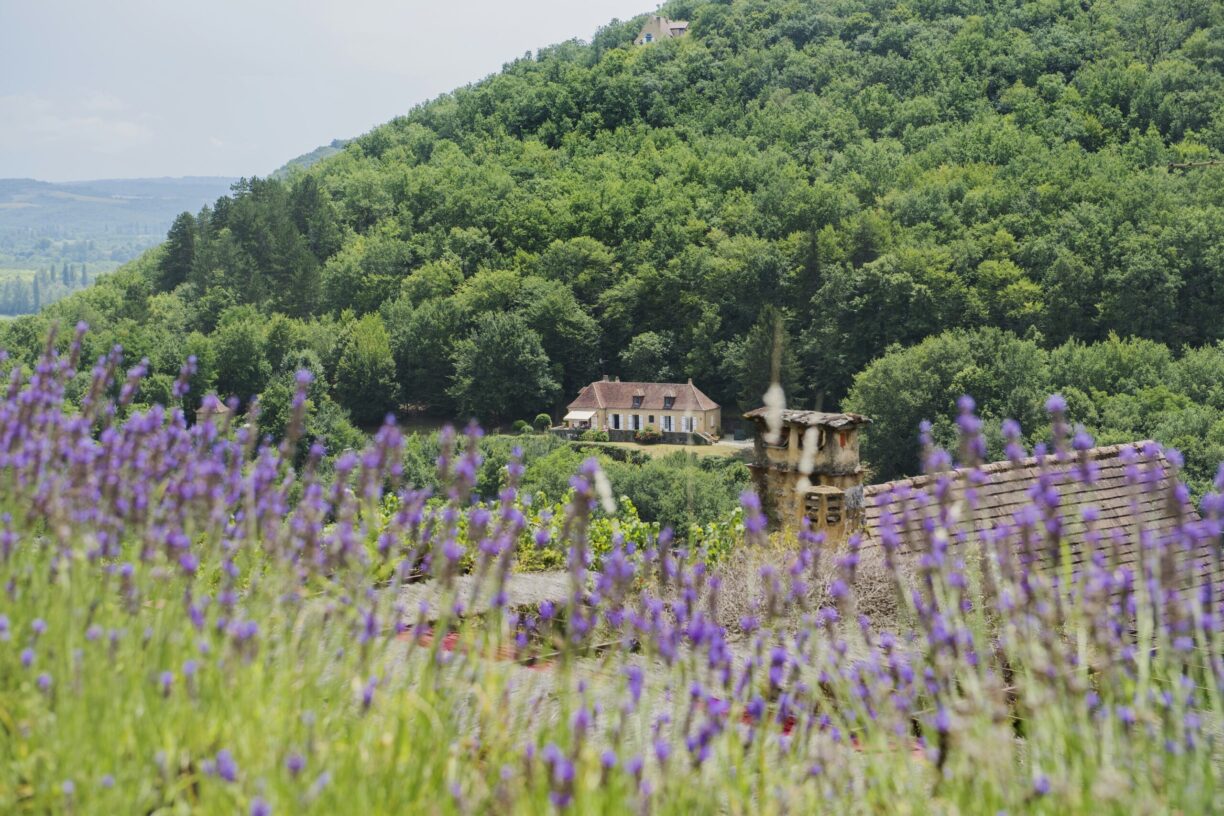Rcn Le Moulin De La Pique - Bild 6 Rcn Le Moulin De La Pique - Bild 6