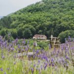 Rcn Le Moulin De La Pique - Bild 6 Rcn Le Moulin De La Pique - Bild 6