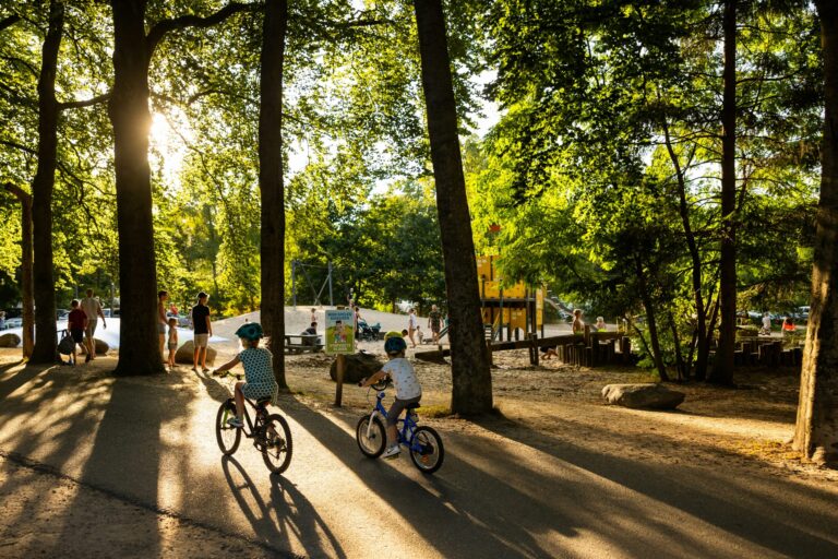 Rcn Vakantiepark Het Grote Bos - Bild 12