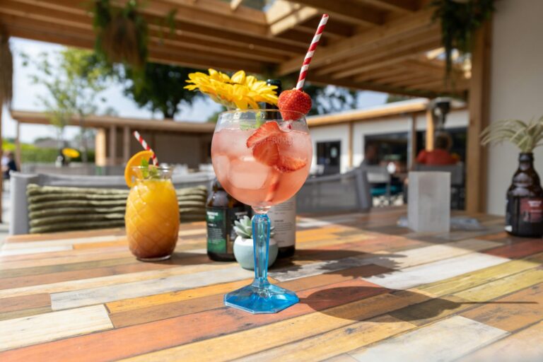 Recreatiepark De Boshoek - Bild 15 Recreatiepark De Boshoek - Bild 15