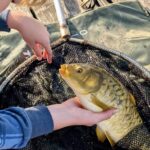 Recreatiepark De Meibeek - Bild 8 Recreatiepark De Meibeek - Bild 8