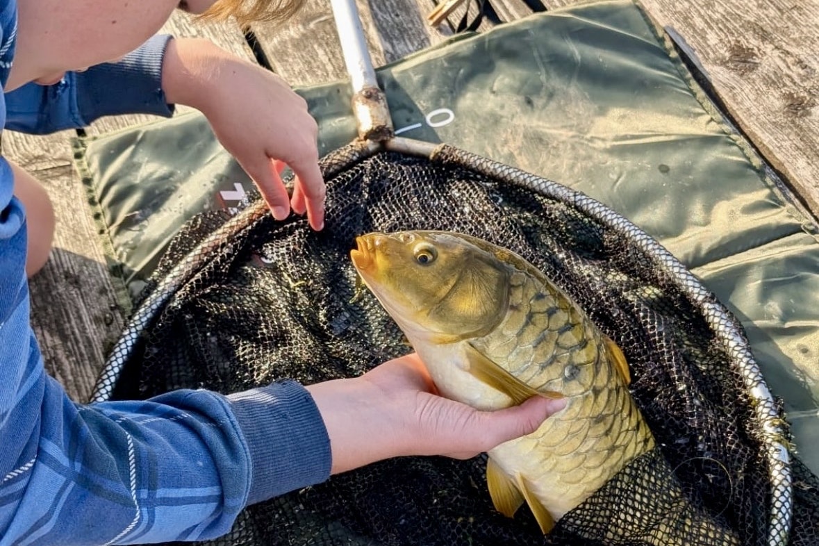 Recreatiepark De Meibeek - Bild 8 Recreatiepark De Meibeek - Bild 8