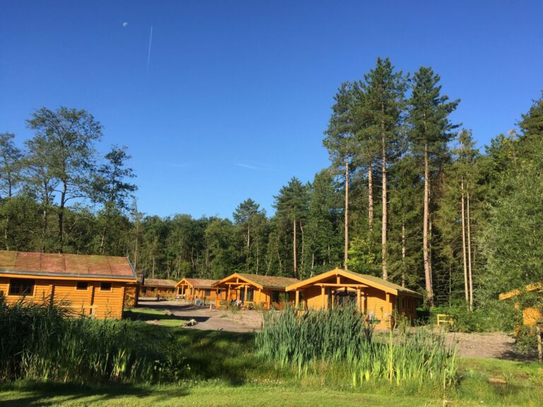 Recreatiepark De Voorst - Bild 13