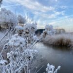 Recreatiepark De Voorst - Bild 5