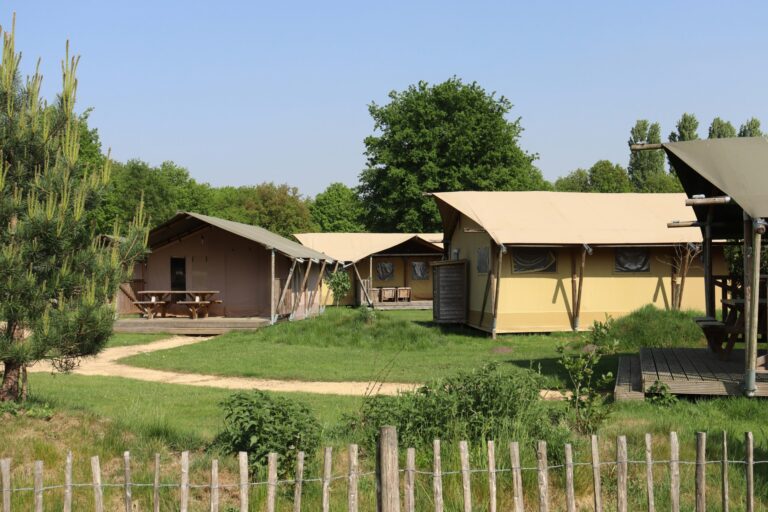 Recreatiepark Duinhoeve - Bild 5