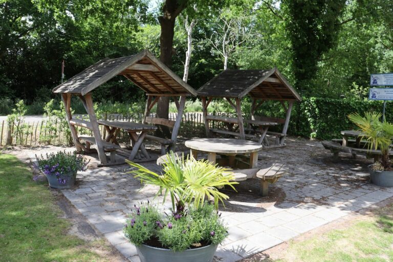 Recreatiepark Duinhoeve - Bild 6