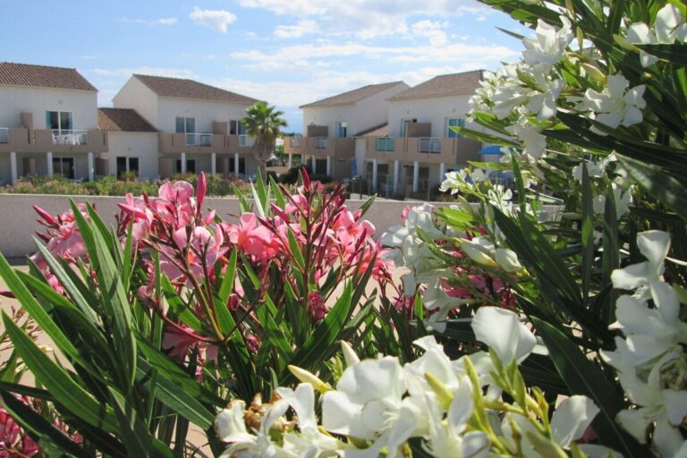 Résidence Les Hauts Du Maquis - Bild 7