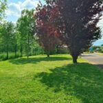 Resort & Camping - Val De Braye - Bild 11 Resort & Camping - Val De Braye - Bild 11