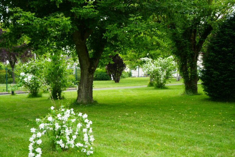 Resort & Camping - Val De Braye - Bild 15 Resort & Camping - Val De Braye - Bild 15