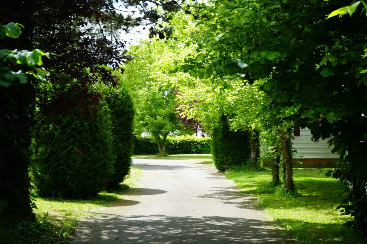 Resort & Camping - Val De Braye - Bild 16 Resort & Camping - Val De Braye - Bild 16