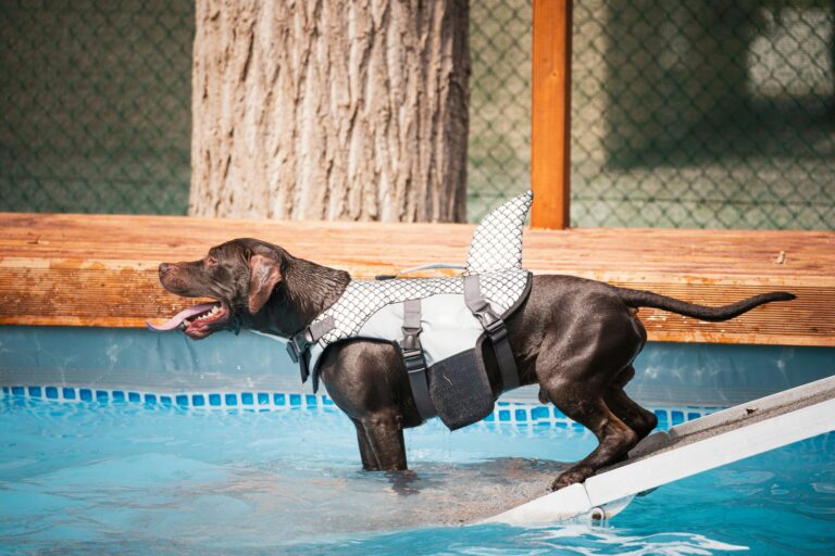 Rimini Family Resort - Bild 20